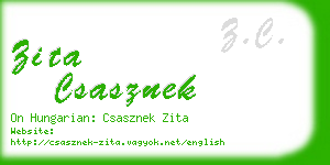 zita csasznek business card